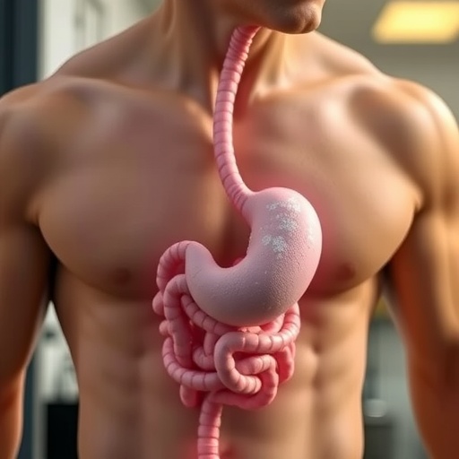 Aberystwyth Universitesi Yapay Sindirim Sistemiyle Yaslilar Icin Daha Dogal Protein Tozlarini Test Ediyor 58Be3A6C3B