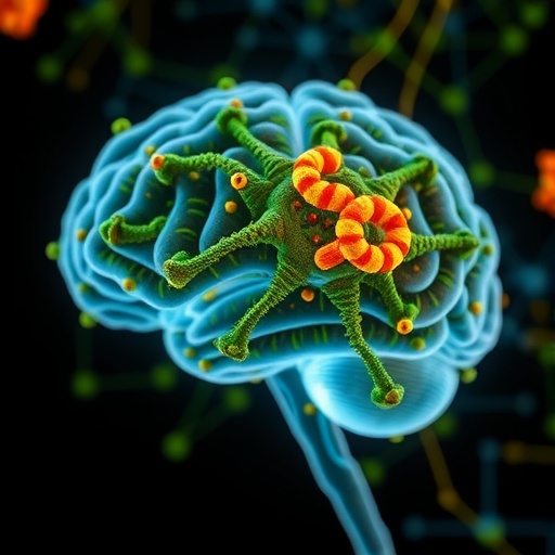 Alzheimerda Cbdnin Beyne Ulasimini Hedefleyen Albumin Nanoparcacik Stratejisi 45A37Ca6Ca