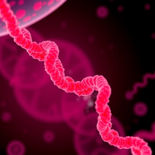 Anne Adayindaki Hiperglisemi Yavrunun Kalbinde Mtdna Sinyalini Tetikleyen Yeni Bir Biyolojik Yolaga Isaret Ediyor E481C18B05