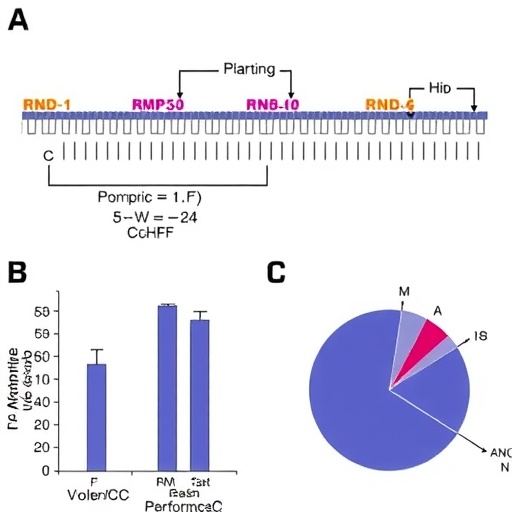 Cchfvnin Dev Polimerazi 3 A Cozunurlukle Goruntulendi Rna Sentezi Dongusu Ve Nukleotid Analogu Etkisi Haritalandi E086E51E0F