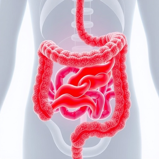 Cellular Recycling Protein Crucial For Gut Protection And Health 1783999457