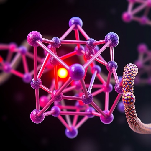 Dna Tetrahedronlar Hucre Ve Proteinleri Dogru Noktada Yakalamaya Odaklandi 3809E5Da80