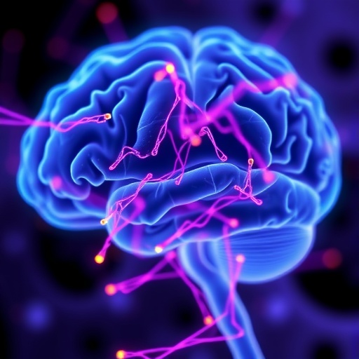Esther Verileri Plazma P Tau217 Alzheimeri Onceden Mi Yakaliyor Yoksa Evreye Gore Mi Zayifliyor 443A8D940B