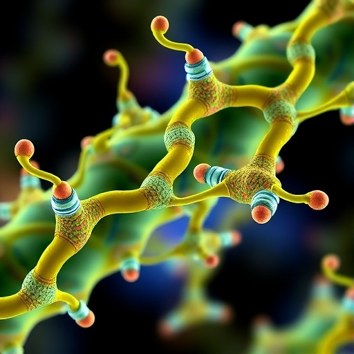 Fonksiyonel Lipid Problariyla Hucre Ici Lipid Protein Temaslarini Yakalama Yeni Bir Protokol 8D21513E49
