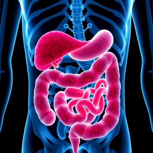 Ketojenik Diyet Bagirsak Tumorlerini Artirabilir Mi Yeni Bulgular Ketonlardan Cok Yag Metabolizmasini Isaret Ediyor D71909...