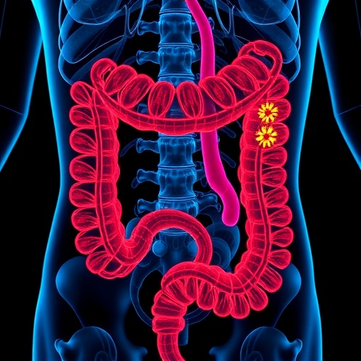 Kolorektal Kanserde Ilac Yanitini Mitokondri Metabolizmasi Ongorebilir 5E5416D436