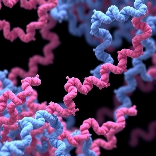 Natureda Yayimlanan Yeni Cerceve Daginik Proteinlerde Sira Islev Bagini Hesaplamayla Yakalamak 01F772Baa1