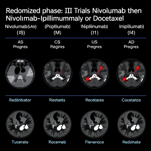 Optim Calismasi Nivolumab Sonrasi Ilerleme Olursa Bagisiklik Kombinasyonu Mu Kemoterapi Mi Bdd66Fa7E4
