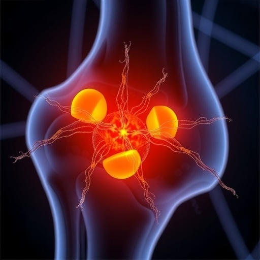 Osteositlerdeki Parvalbumin Eklem Yuklenmesinin Biyolojik Hiz Kesicisi Gibi Calisabilir 7C1105F7D7