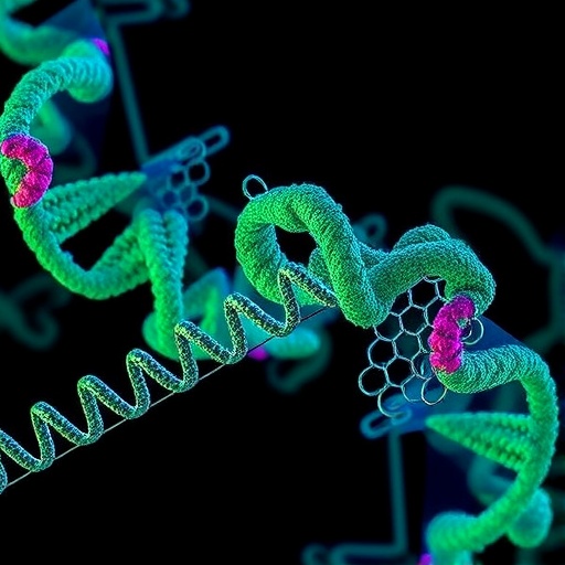 Trypanosome Mitokondrilerinde Rna Duzenleme Akisinin Editosome Mimarisi Ilk Kez Bu Kadar Net 0Dfd53F224